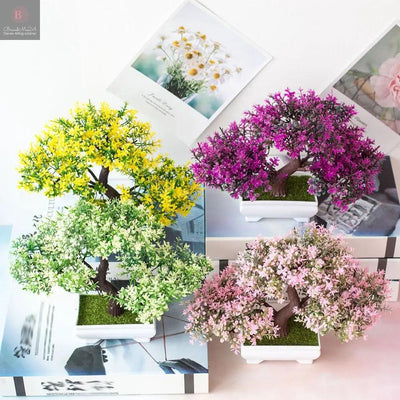 Bonsai potted plants BrandMe24